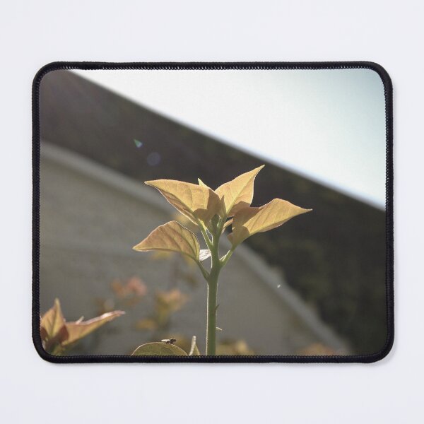 Item preview, dont leave me designed and sold by Queen-V-art.