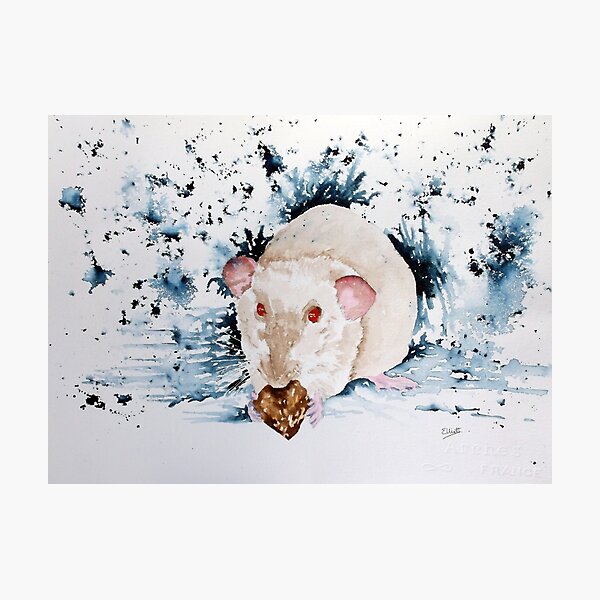Kami Photographic Print