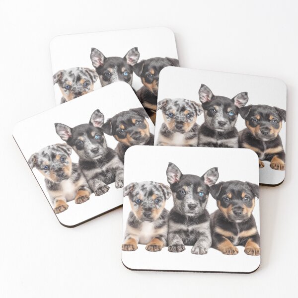 Artikelvorschau, lancashire heeler entworfen und verkauft von BanFahSai.