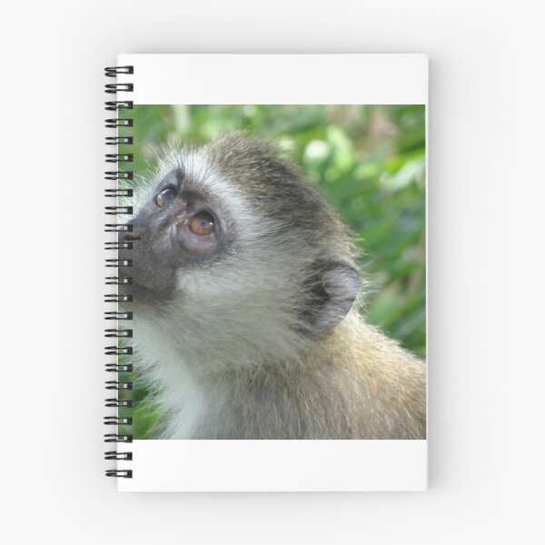 Item preview, The Face Of Innocence - Monkey in Kenya Africa designed and sold by exploramum.