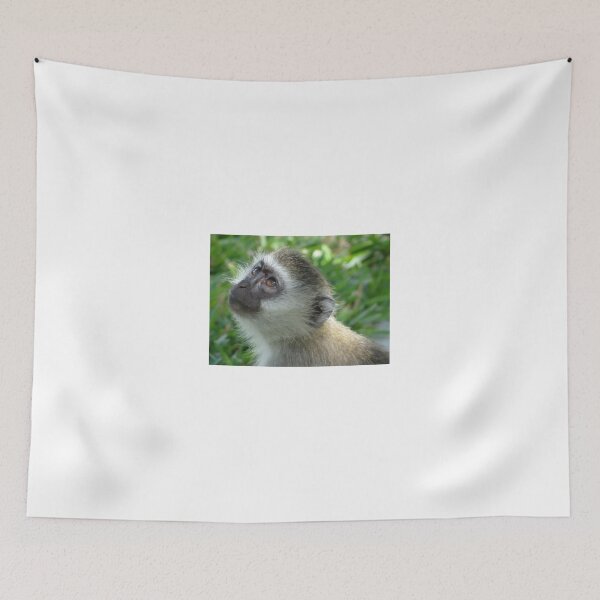 Item preview, The Face Of Innocence - Monkey in Kenya Africa designed and sold by exploramum.