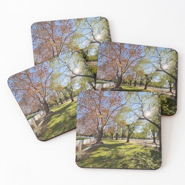 Item preview, Autumn Tuesday, Benalla designed and sold by Neil O'Connor.