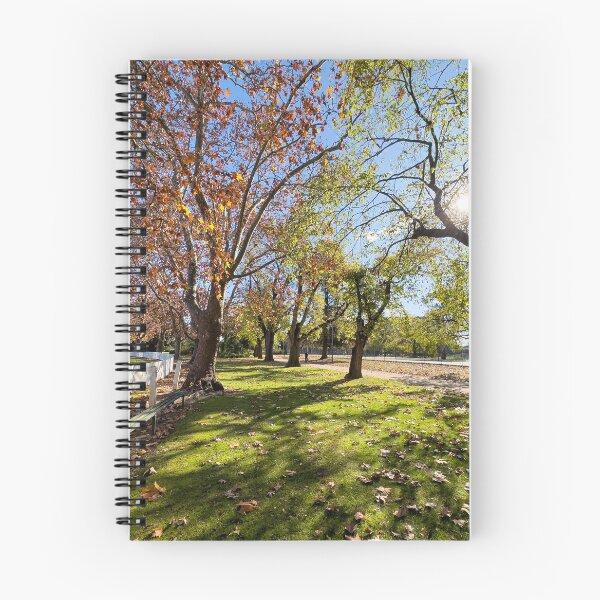 Item preview, Autumn Tuesday, Benalla designed and sold by Neil O'Connor.