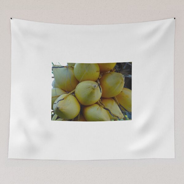 Item preview, Fresh Coconuts Growing On The Tree - Kenya Africa designed and sold by exploramum.
