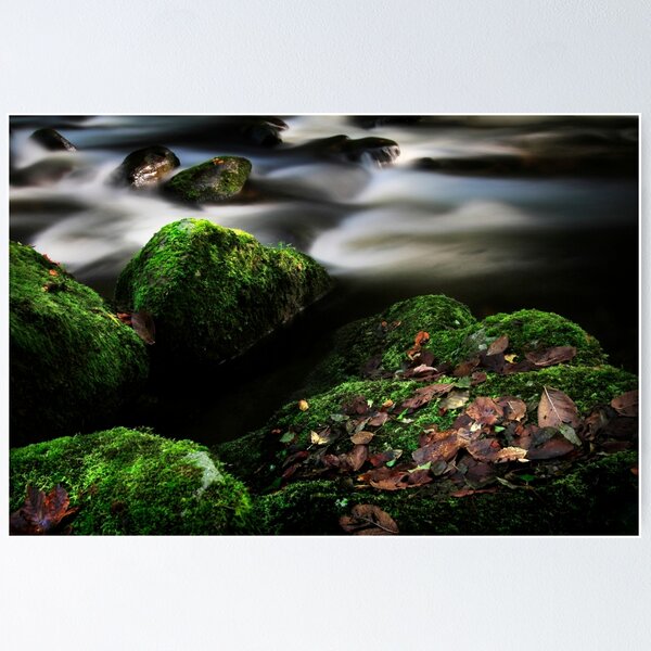 Item preview, Black Forest designed and sold by Angelika Vogel.
