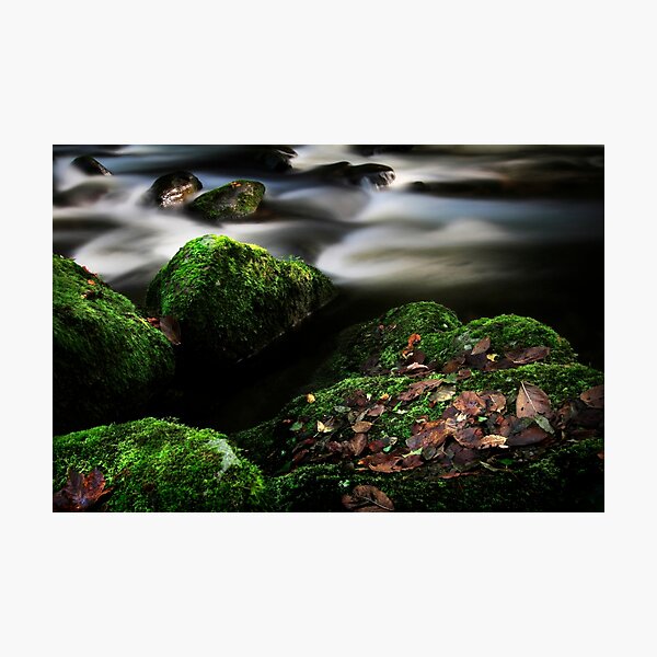 Item preview, Black Forest designed and sold by Angelika Vogel.