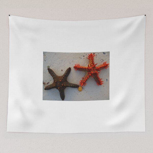 Item preview, Two Starfish On The Beach - Kenya Africa designed and sold by exploramum.