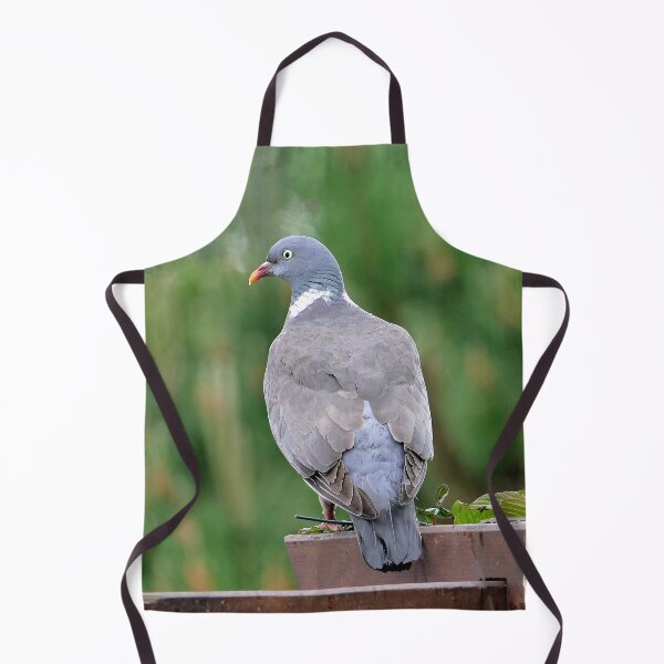 Item preview, vr 3688 / finition 2024 - 1 - Proud - Fier Pigeon - Okaio-Umin Créations Olavia-Olao designed and sold by o.okaïo.