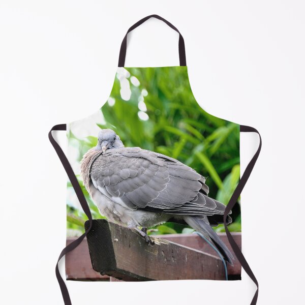 Item preview, vr 3689 / finition 2024 - - Trés Jeune- proud - Pigeon - Okaio-Umin Créations Olavia-Olao designed and sold by o.okaïo.