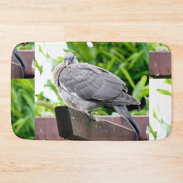 Item preview, vr 3689 / finition 2024 -   - Trés Jeune- proud - Pigeon - Okaio-Umin Créations Olavia-Olao designed and sold by o.okaïo.