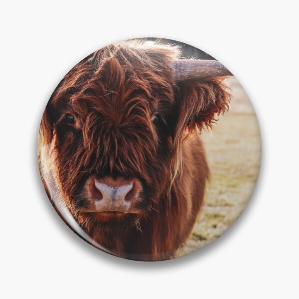 Item preview, Highland Cow designed and sold by Cosmic Fox Photography.