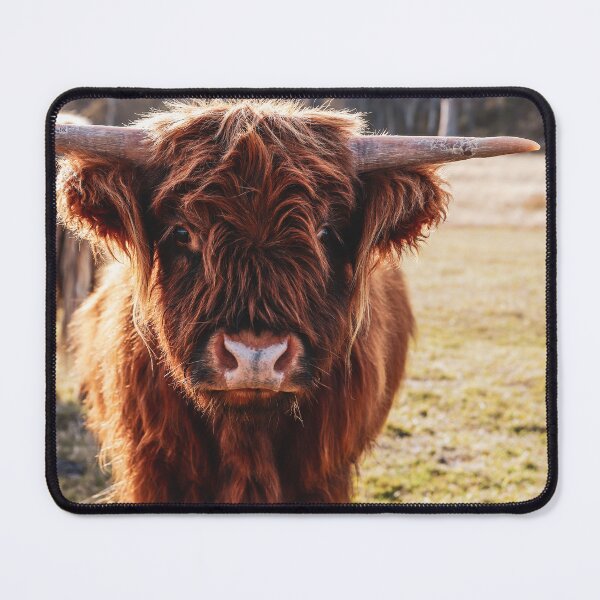 Item preview, Highland Cow designed and sold by Cosmic Fox Photography.