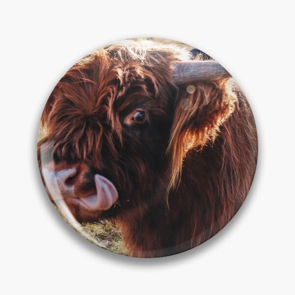 Item preview, Highland Cow- Tongue designed and sold by Cosmic Fox Photography.
