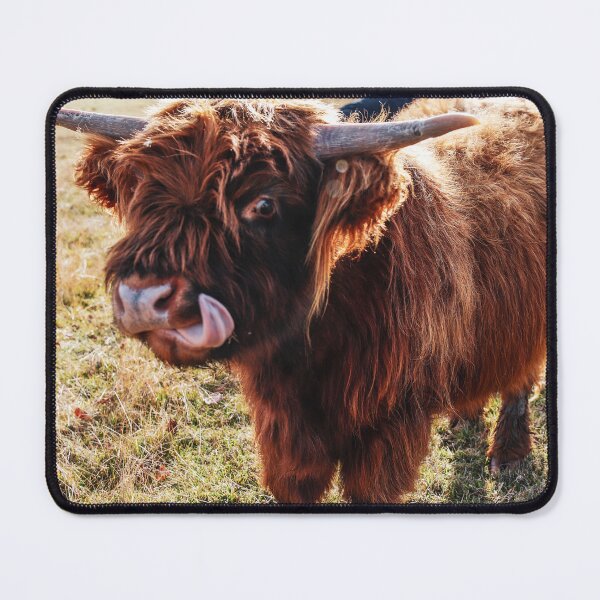 Item preview, Highland Cow- Tongue designed and sold by Cosmic Fox Photography.