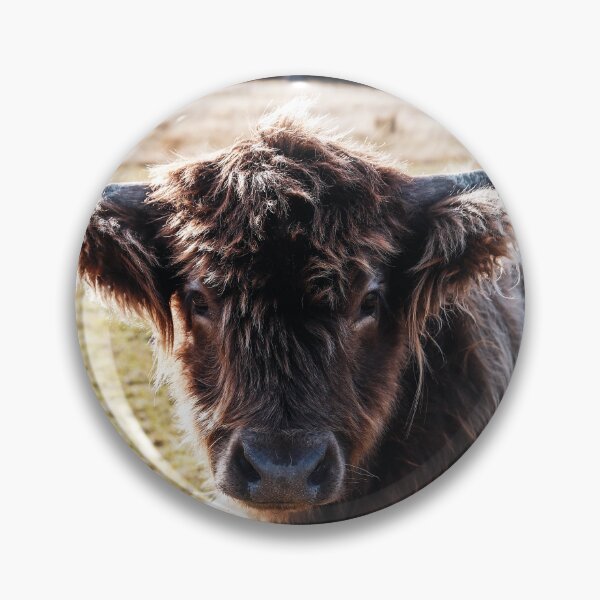 Item preview, Highland Cow - Fluffy Cow designed and sold by Cosmic Fox Photography.
