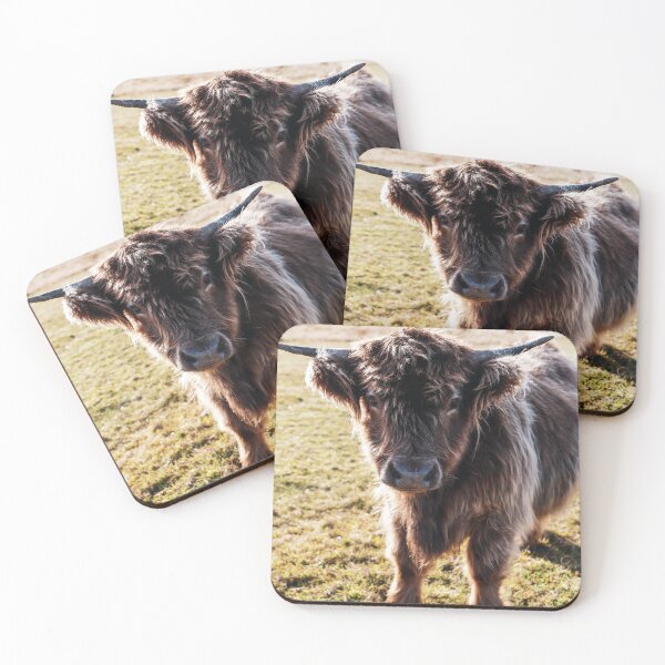 Item preview, Highland Cow - Fluffy Cow  designed and sold by Cosmic  Fox Photography.