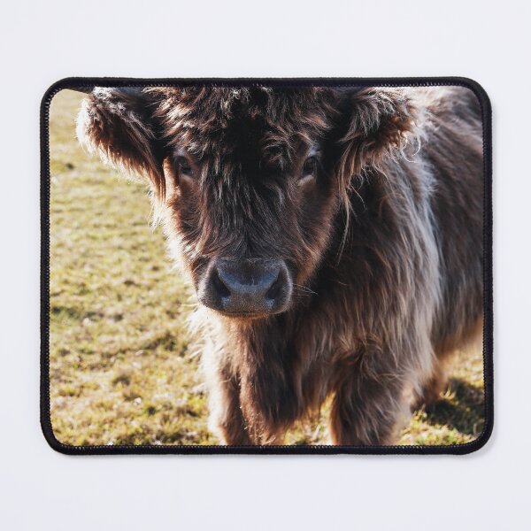 Item preview, Highland Cow - Fluffy Cow designed and sold by Cosmic Fox Photography.