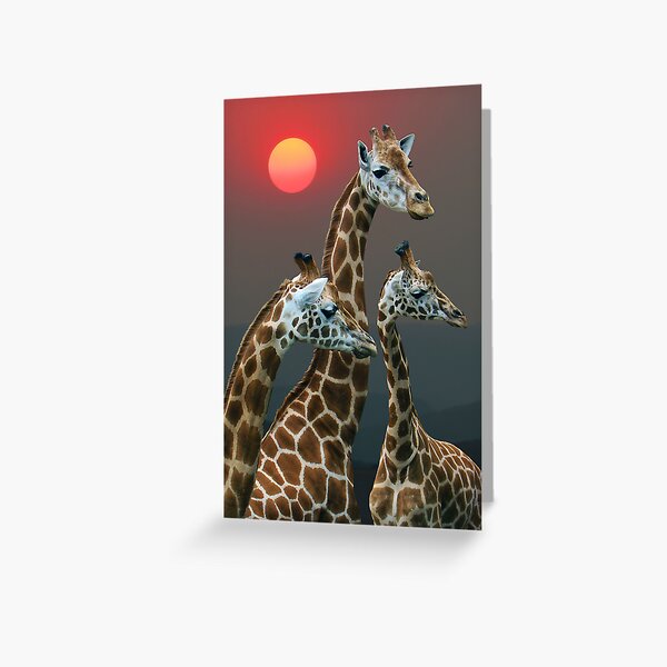 Item preview, SUNSET WITH GIRAFFES 3 designed and sold by Michael Sheridan.