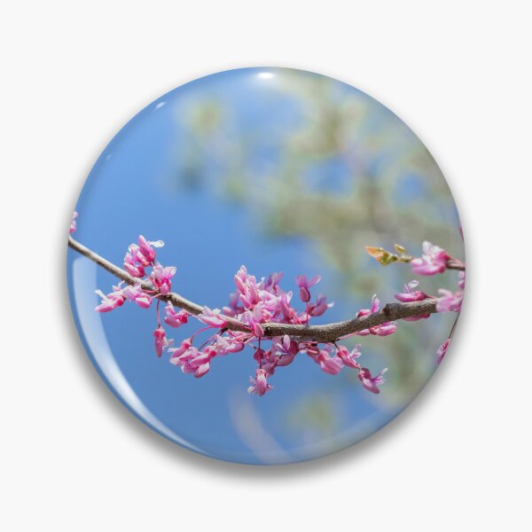Artikelvorschau, Redbud-Baumzweig und blauer Himmel entworfen und verkauft von KRFNatureGifts.