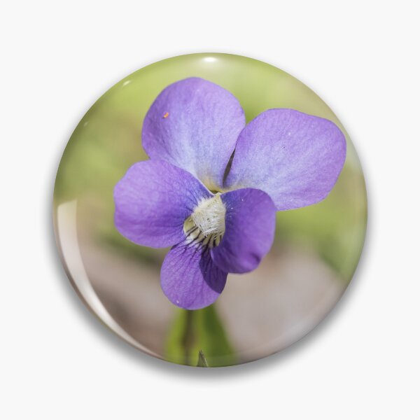 Item preview, Purple violet wildflower closeup designed and sold by KRFNatureGifts.