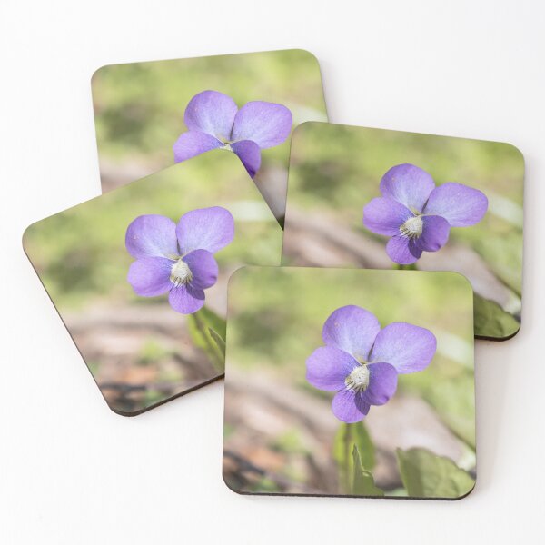 Item preview, Purple violet wildflower closeup designed and sold by KRFNatureGifts.