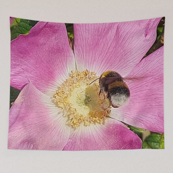 Item preview, Spring Rose @}}- designed and sold by hajarsdeco.