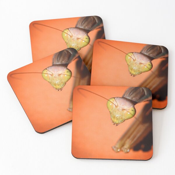 Item preview, Mantis (MKW-I.33) designed and sold by Katrina Morgan.