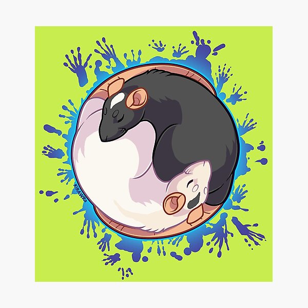 Yin Yang Rats Photographic Print