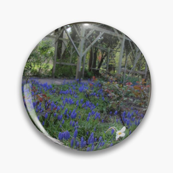 Item preview, hint of colour in the park designed and sold by Perggals© - Stacey Turner.