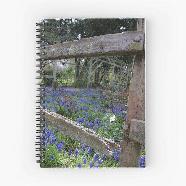 Item preview, hint of colour in the park designed and sold by Perggals© - Stacey Turner.