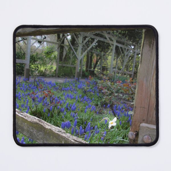 Item preview, hint of colour in the park designed and sold by Perggals© - Stacey Turner.