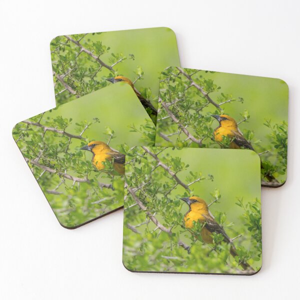 Item preview, Oriole in the Greenery designed and sold by Debra Martz.