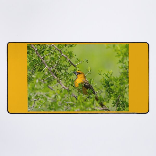 Item preview, Oriole in the Greenery designed and sold by Debra Martz.
