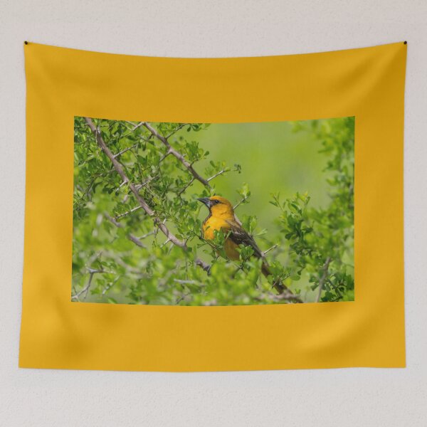 Item preview, Oriole in the Greenery designed and sold by Debra Martz.