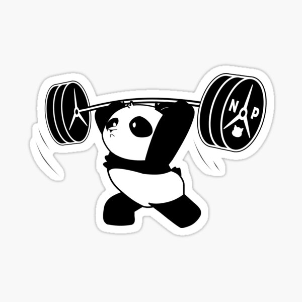 Cute Panda Training, cute panda training, panda, weightlifting, cute panda,  gym, fitness, training, funny, workout, exercise, panda weightlifting