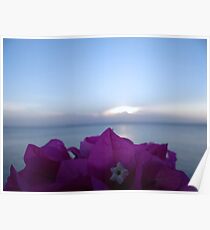 Bougainvillea By The Sea - Kenya Africa Poster