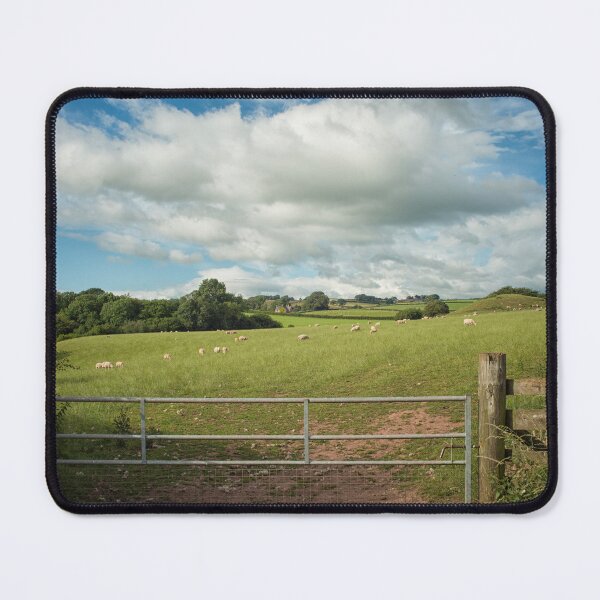 Item preview, Sheep in a Welsh meadow designed and sold by Photopat.