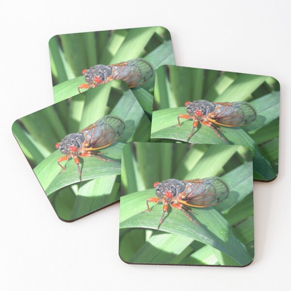 Item preview, 2024 17 Year Cicada designed and sold by collageDP.