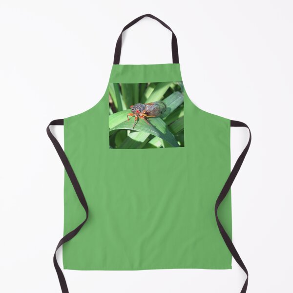 Item preview, 2024 17 Year Cicada designed and sold by collageDP.