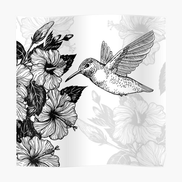 Poster Hibiskus Und Kolibri Redbubble