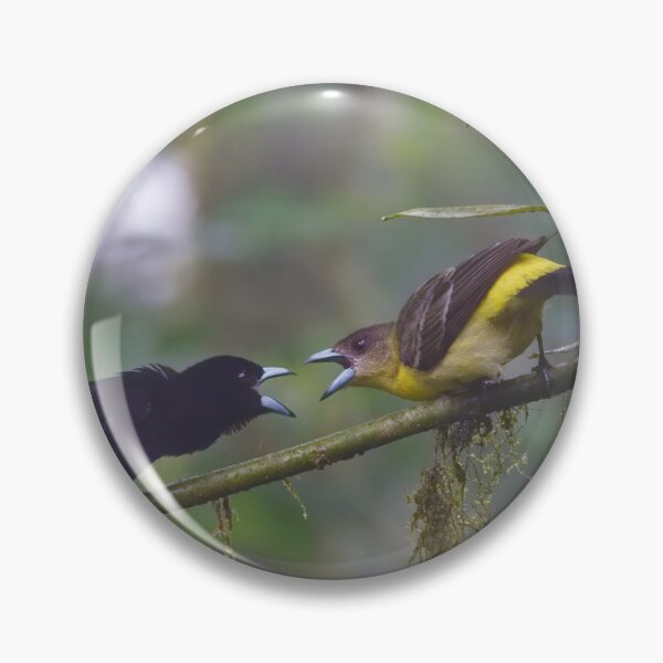 Item preview, FLAMED-RUMPED TANAGER designed and sold by adumont1.