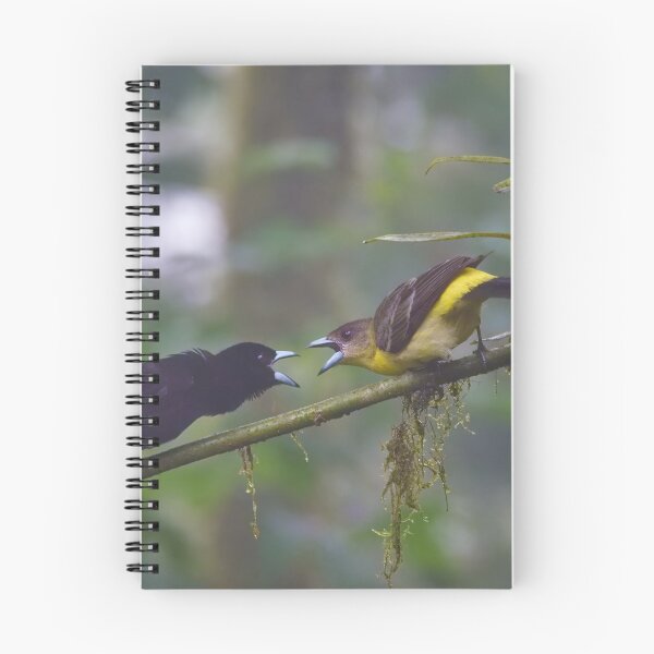 Item preview, FLAMED-RUMPED TANAGER designed and sold by adumont1.
