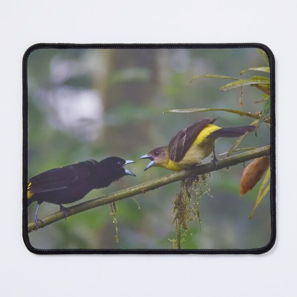 Item preview, FLAMED-RUMPED TANAGER designed and sold by adumont1.