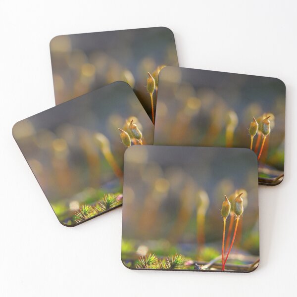 Item preview, New life from mosses 2 designed and sold by Veikko  Suikkanen.