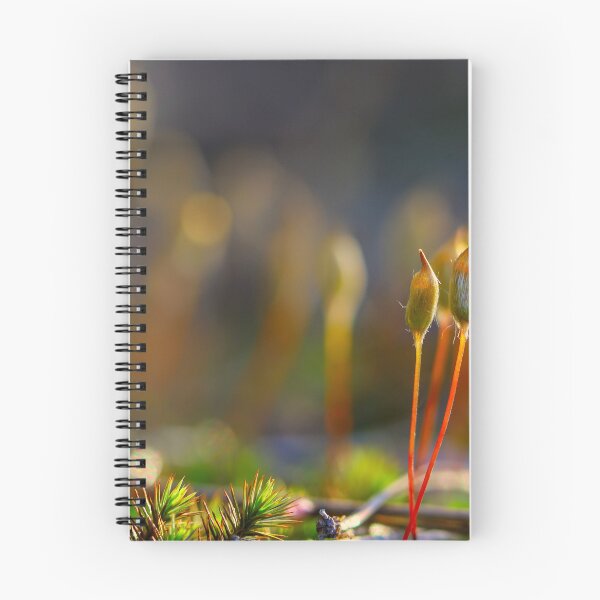 Item preview, New life from mosses 2 designed and sold by Veikko  Suikkanen.