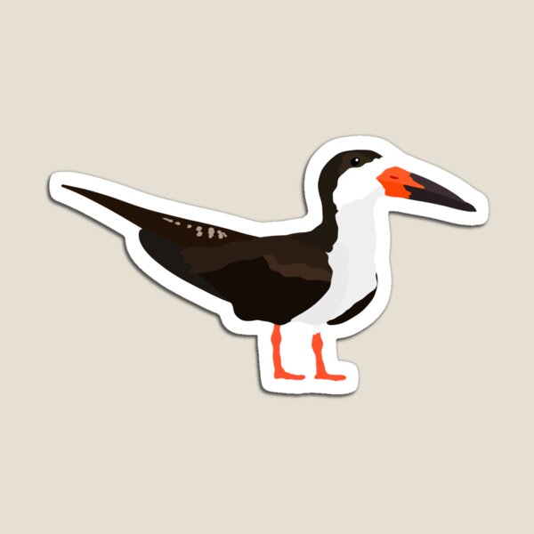 Item preview, Black Skimmer designed and sold by kalibearco.
