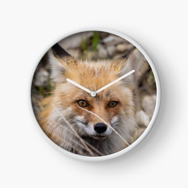 Item preview, Fox in Yellowstone designed and sold by CoryJMFineArt.
