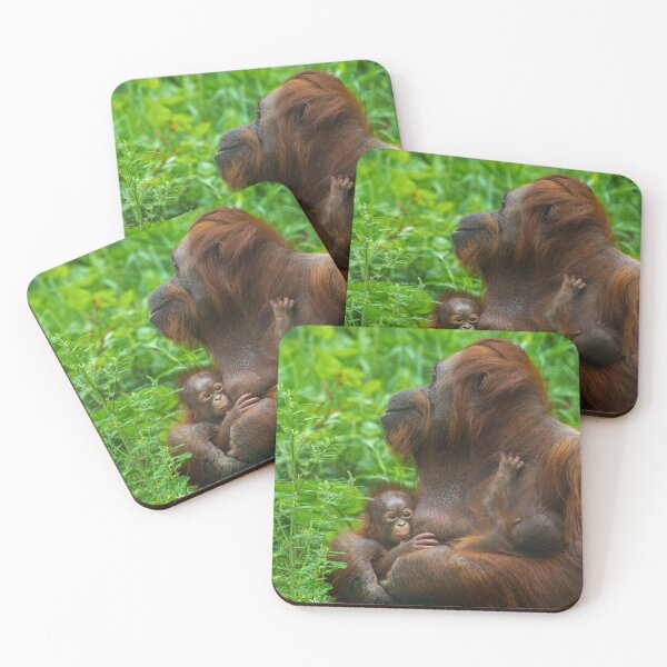 Item preview, Orangutan Mother and Babies designed and sold by rawshutterbug.