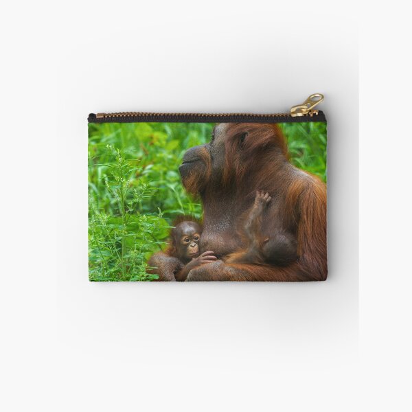 Item preview, Orangutan Mother and Babies designed and sold by rawshutterbug.