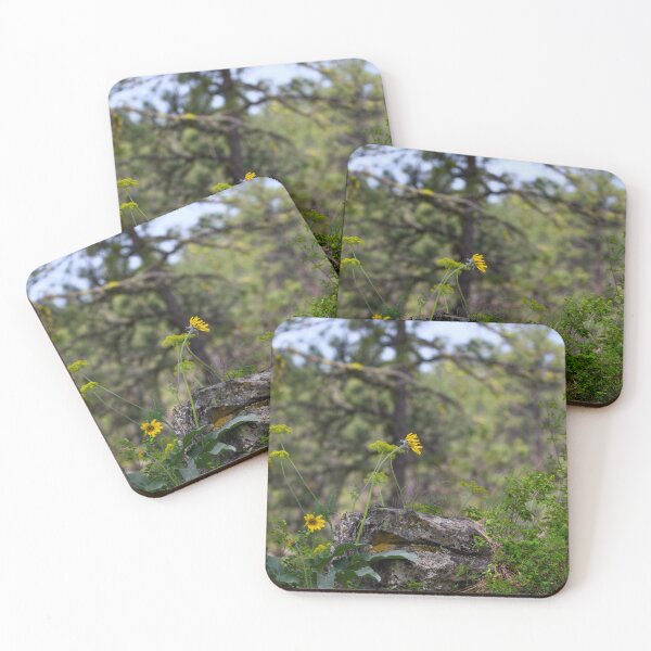 Artikelvorschau, Wildflower and rocks entworfen und verkauft von Cblifeisgood.